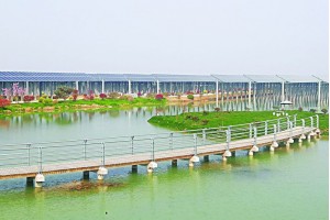 Lắp đặt điện mặt trời tại Tây Ninh